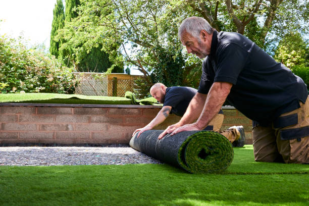 artificial grass in O'Fallon Granite City Synthetic Grass
