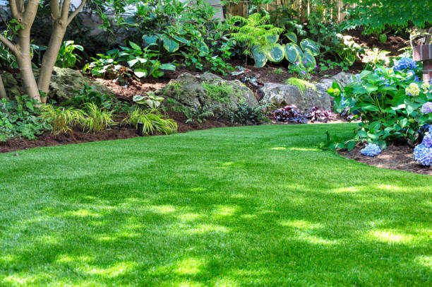 artificial grass company Columbia IL Turf Company Near Me